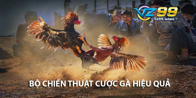 Đá gà Digmaan tại VZ99? Ưu điểm, kinh nghiệm thắng lớn A - Z 9 Bộ chiến thuật cược gà hiệu quả