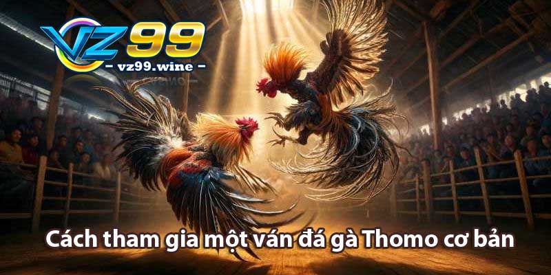 Đá gà Thomo là gì? Trò chơi cược gà Campuchia hấp dẫn 8 Cách tham gia một ván đá gà Thomo cơ bản